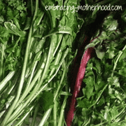 How to Stay on Top of Free Radicals with Antioxidants How to Stay on Top of Free Radicals with Antioxidants